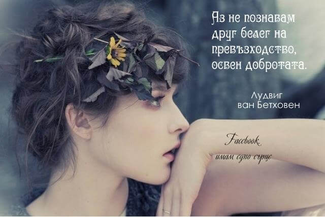 Белег на превъзходство