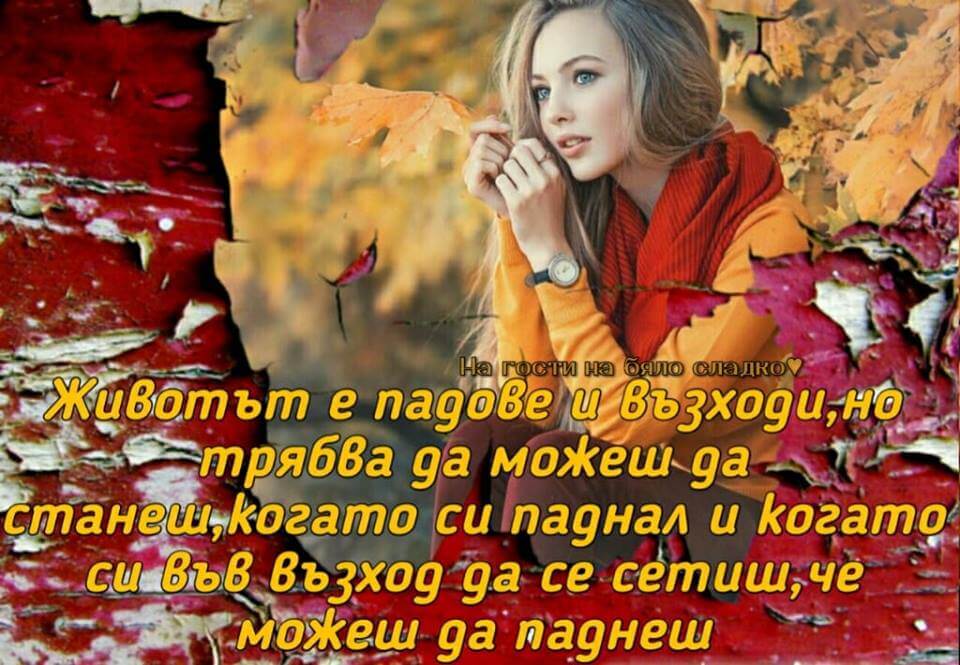 Животът е падове и възходи