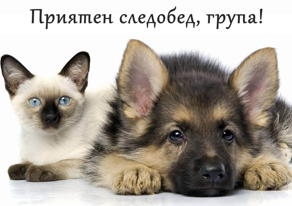 Приятен следобед група