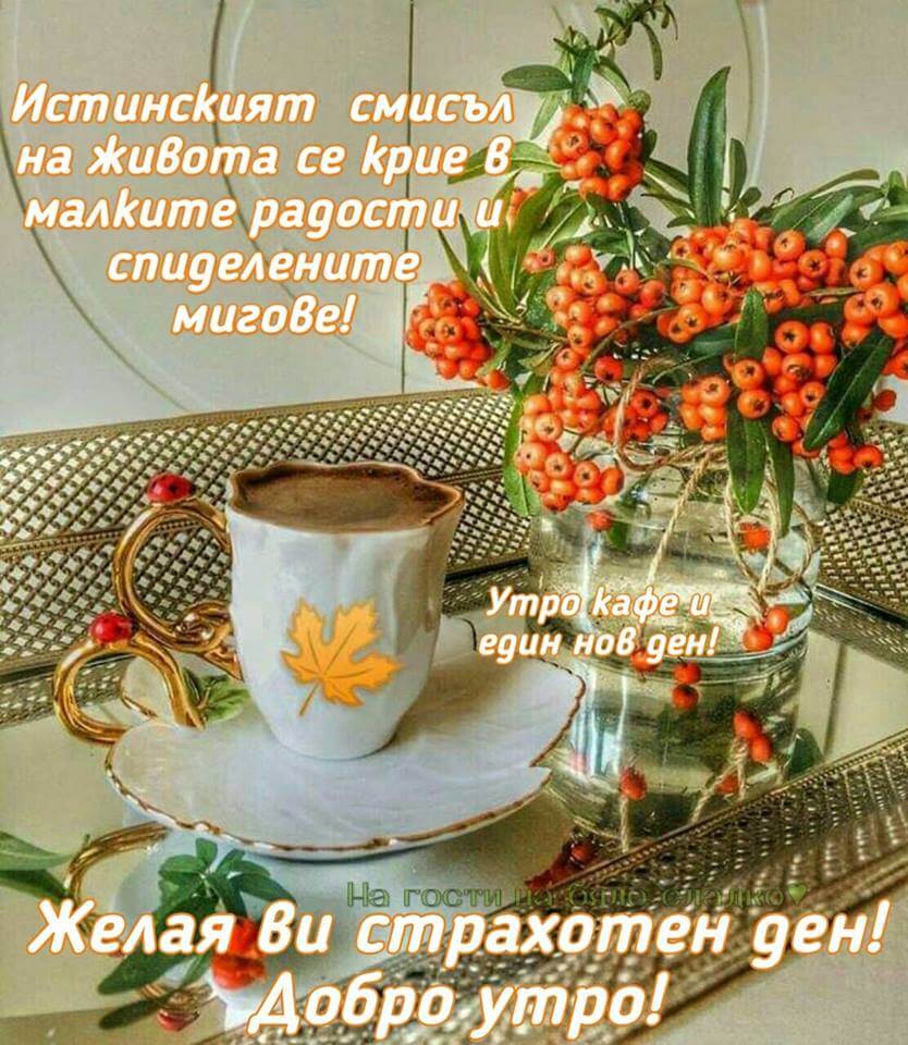 Истинският смисъл на живота