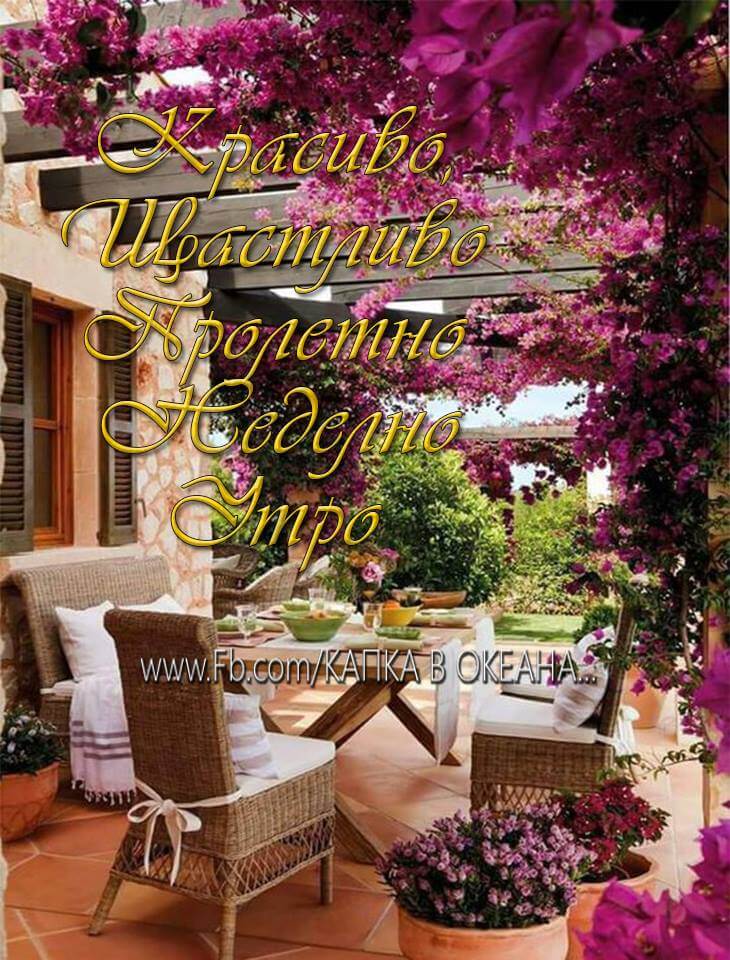 Красиво неделно утро