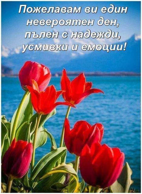 Невероятен ден